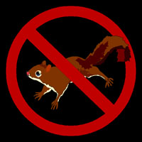 Anti-Squirrel League!!